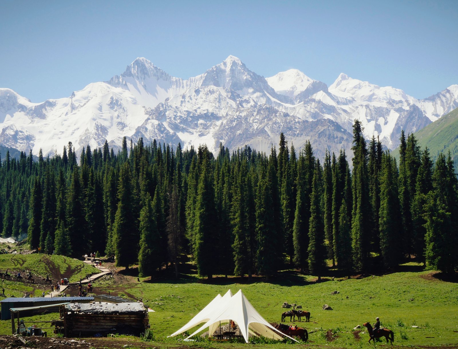Fairy Meadows & Nanga Parbat Base Camp Trek scenery 1